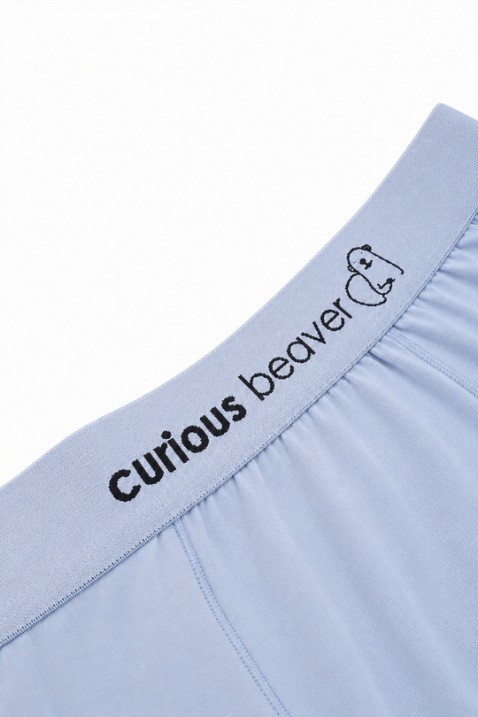 Men's Soft Modal Boxer Briefs - Silver Blue