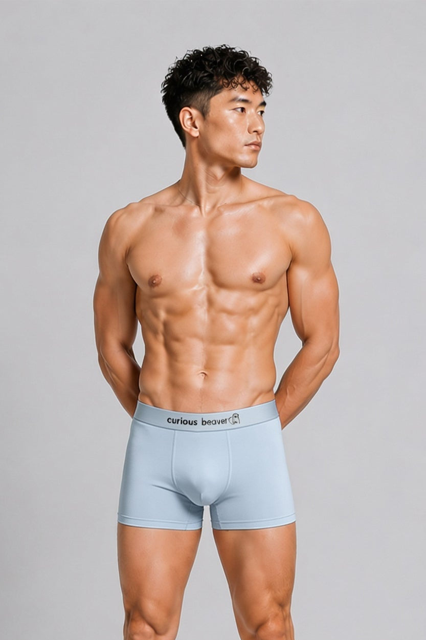 Men's Soft Modal Boxer Briefs - Silver Blue